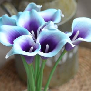 10 Aqua Blue Purple Picasso Calla Lilies Real Touch Flowers - Etsy