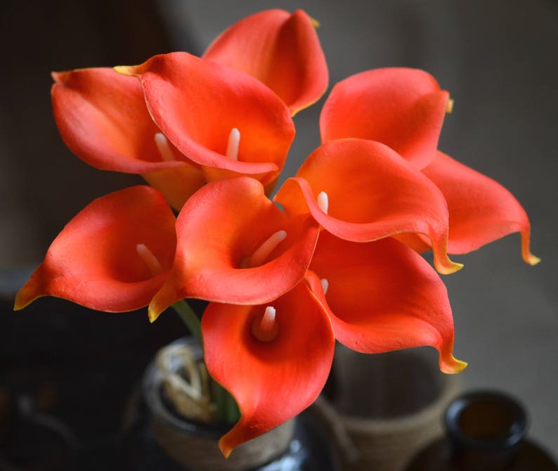 10 Dark Orange Calla Lilies Real Touch Flowers DIY Silk Etsy
