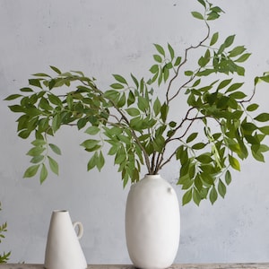 May include: Two white ceramic vases, one tall and oval shaped, the other short and conical, with a leafy green plant in the taller vase.