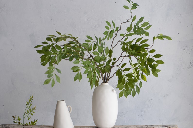 May include: Two white ceramic vases, one tall and oval shaped, the other short and conical, with a leafy green plant in the taller vase.