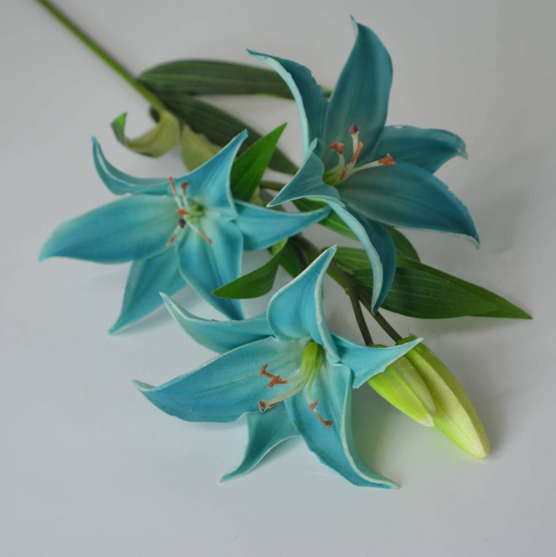 Teal Tiger Lilies Real Touch Flowers DIY Wedding Bridal Etsy