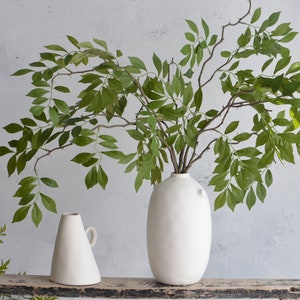 May include: Two white ceramic vases, one tall and round, the other short and conical, with a leafy green plant in the tall vase.