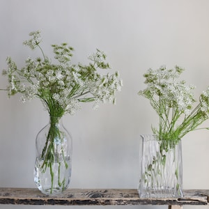 Tallo de planta de encaje falso de la reina Ana de 19,7 , 3 cabezas en blanco, rama de flores artificiales de primavera, flores de bricolaje / boda / hogar / decoración de cocina, regalos imagen 6