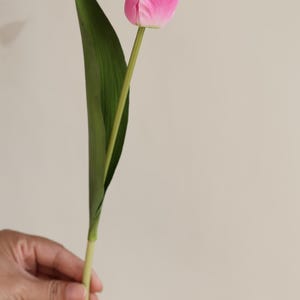 May include: A single pink tulip with a green leaf stem.