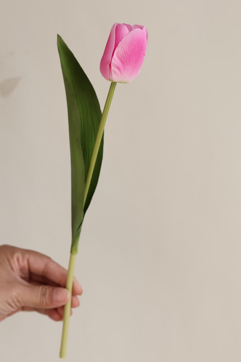 May include: A single pink tulip with a green leaf stem.