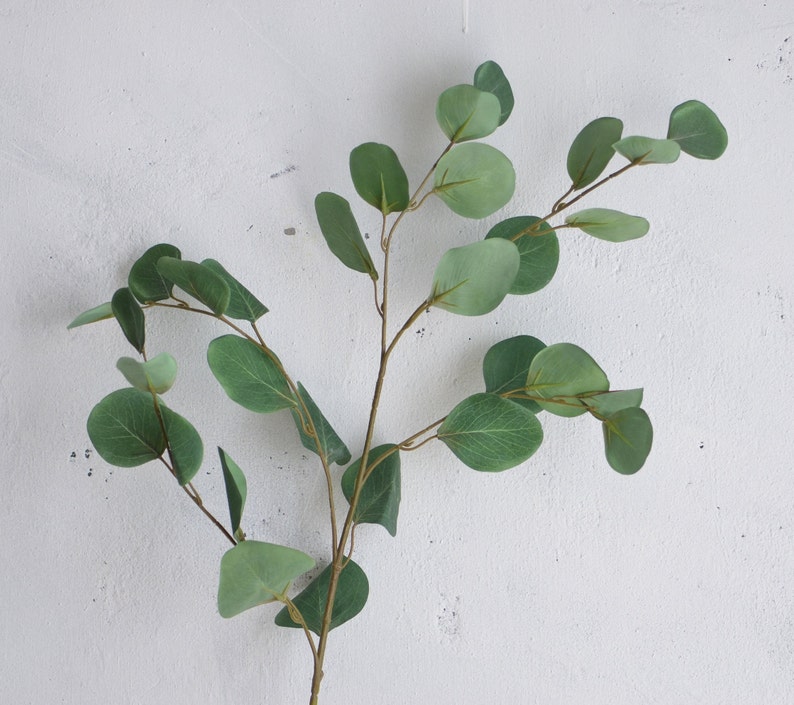 34 Artificial Silver Dollar Eucalyptus Branch Etsy