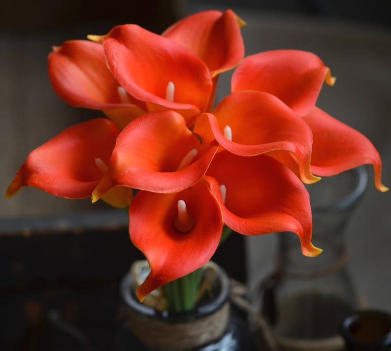 May include: A bouquet of orange calla lilies arranged in a vase. The lilies are in full bloom and have a delicate, elegant appearance.