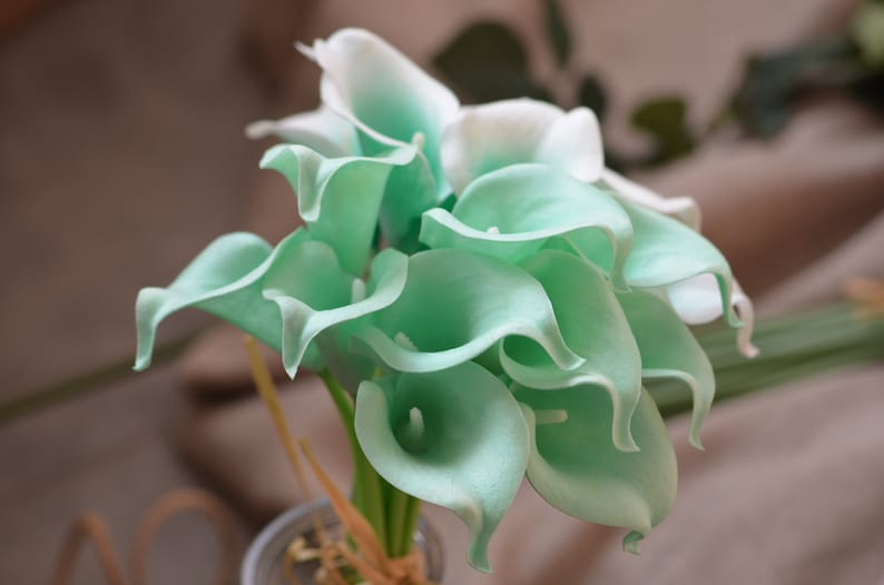 May include: A bouquet of artificial calla lilies in a light green color. The flowers are arranged in a vase and have a white center.