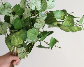 Peut inclure: Un bouquet de tiges feuillues artificielles vertes avec des nervures blanches sur les feuilles. Les tiges sont regroupées et tenues dans une main.