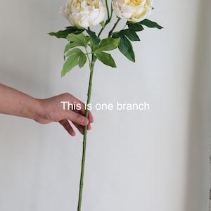 Pu&ograve; includere: Un singolo stelo di peonie bianche artificiali con foglie verdi. Lo stelo &egrave; lungo e sottile, e i fiori sono in piena fioritura. Il testo "This is one branch" &egrave; visibile nell'immagine.