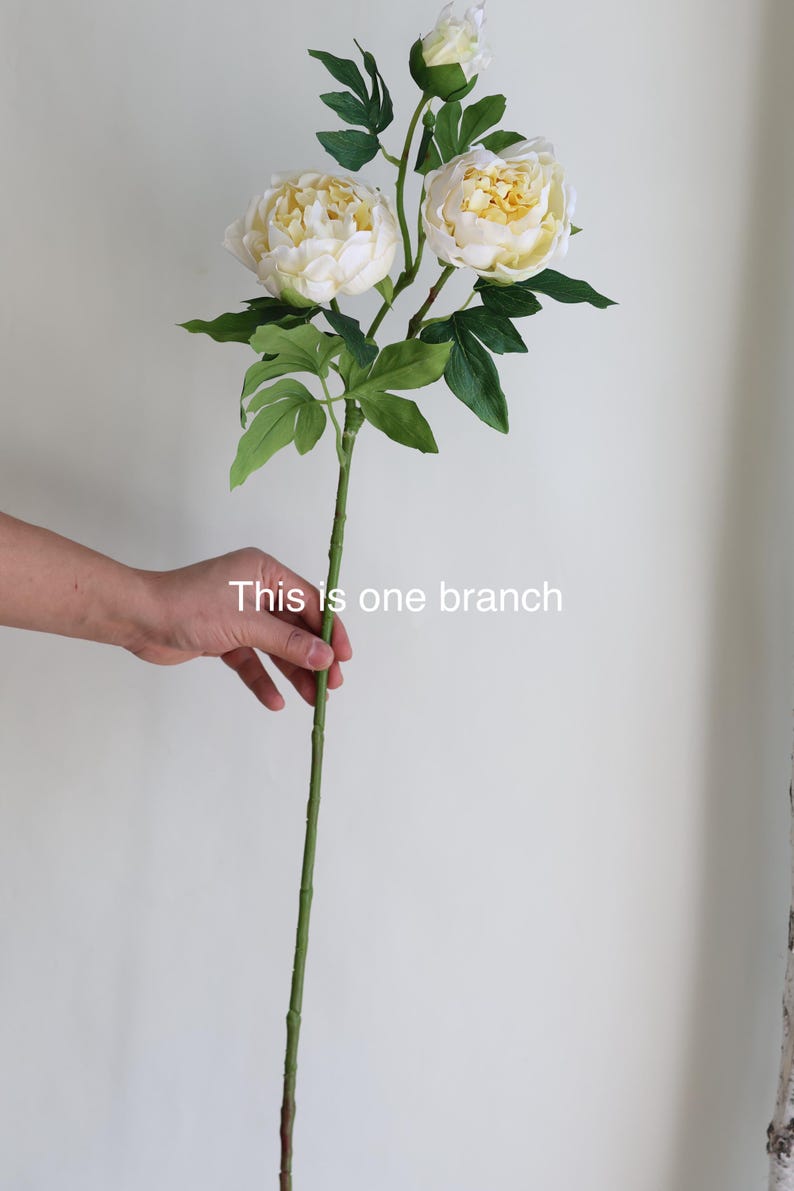 Pu&ograve; includere: Un singolo stelo di peonie bianche artificiali con foglie verdi. Lo stelo &egrave; lungo e sottile, e i fiori sono in piena fioritura. Il testo "This is one branch" &egrave; visibile nell'immagine.