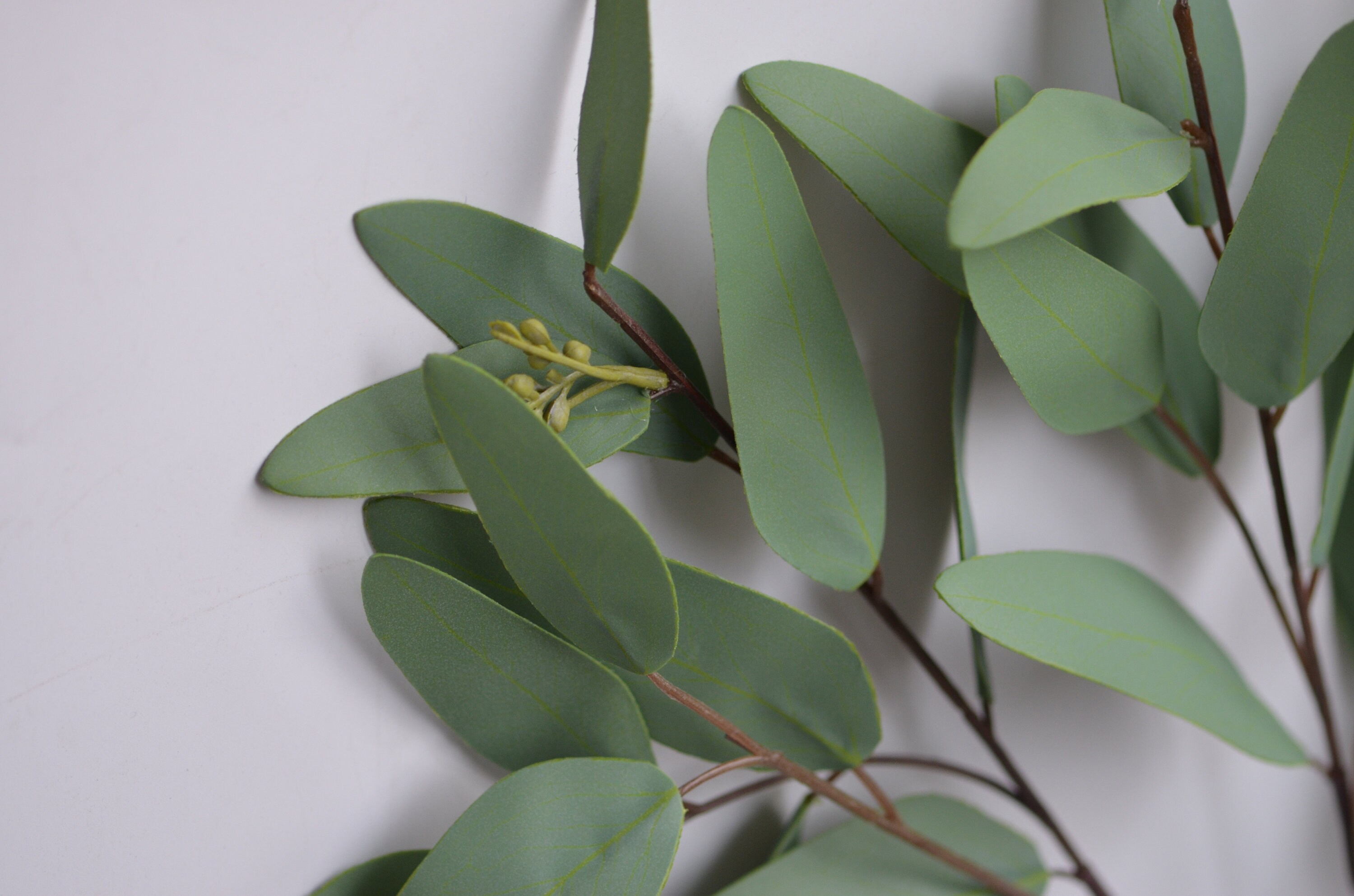 Eucalyptus Artificial Real Touch Eucalyptus Leaves Vintage Etsy