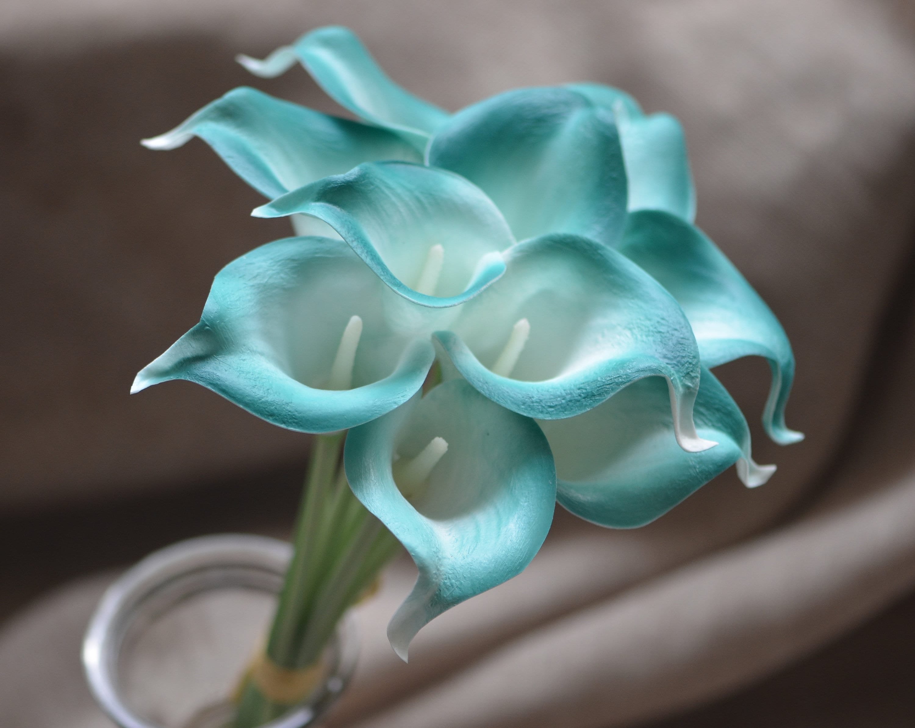 3x REAL TOUCH LATEX FLOWERS CALLA LILY LILIES WEDDING CREAM TEAL BUTTON HOLE 