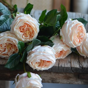 24&quot; Faux Champagne Austin Roses, Peach Real Touch Artificial Roses, Fake Cabbage Roses, DIY Floral | Wedding/Occasion/Home Decoration | Gift