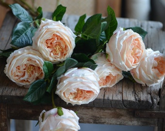 24" Faux Champagne Austin Roses, Peach Real Touch Artificial Roses, Fake Cabbage Roses, DIY Floral | Wedding/Occasion/Home Decoration | Gift