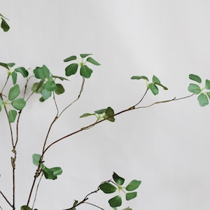 Puede incluir: Un solo tallo de vegetaci&oacute;n artificial con m&uacute;ltiples ramas y hojas verdes. Las hojas tienen forma de tr&eacute;bol de cuatro hojas.