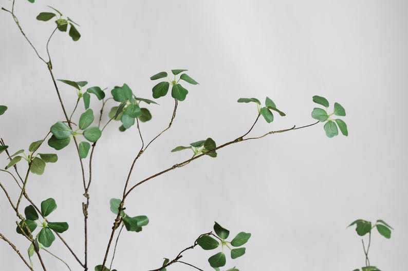 Puede incluir: Un solo tallo de vegetaci&oacute;n artificial con m&uacute;ltiples ramas y hojas verdes. Las hojas tienen forma de tr&eacute;bol de cuatro hojas.