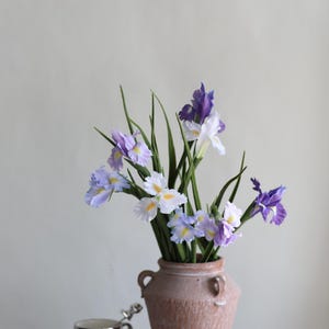 May include: A bouquet of purple and white irises in a terracotta vase. The vase has two handles and a textured surface. The flowers are arranged in a loose, natural style.