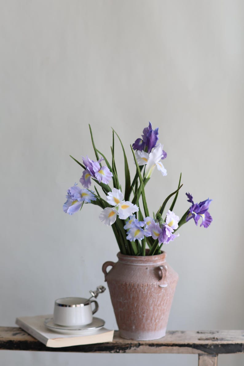 May include: A bouquet of purple and white irises in a terracotta vase. The vase has two handles and a textured surface. The flowers are arranged in a loose, natural style.