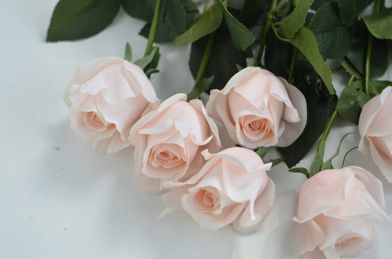 Blush/Pale Pink Real Touch Artificial Half-Open Roses, DIY Florals Wedding/Home/Kitchen Decoration Gifts, DIY Bouquets/Centerpiece image 2