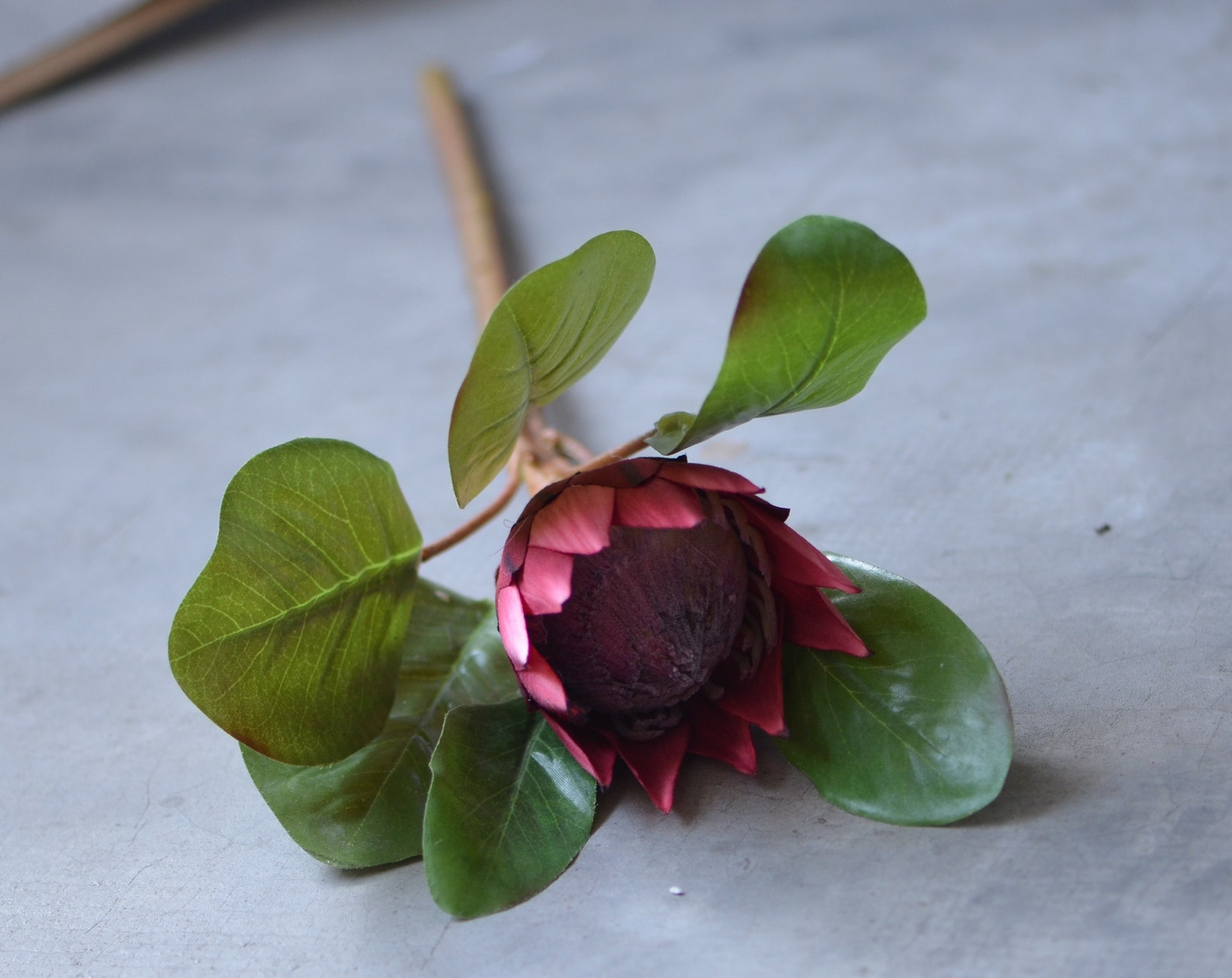 King Protea Flowers Silk Artificial Burgundy Protea Flowers Etsy