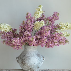 Rama de lilas rosa malva sintética de 24,8 , hortensias de lilas artificiales color crema, decoraciones florales de follaje DIY para bodas/hogar/cocina imagen 3