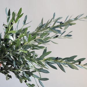 May include: A bunch of olive branches with green leaves and small black olives.