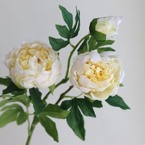 Pu&ograve; includere: Un bouquet di tre peonie artificiali bianche con centri gialli. Le peonie sono su uno stelo verde con foglie.