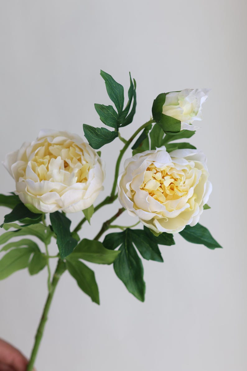 Pu&ograve; includere: Un bouquet di tre peonie artificiali bianche con centri gialli. Le peonie sono su uno stelo verde con foglie.