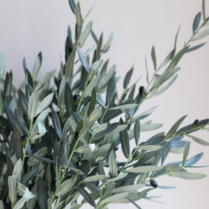 May include: A bunch of artificial olive branches with green leaves and small black olives.