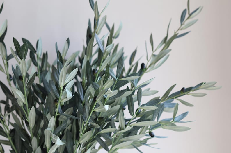 May include: A bunch of artificial olive branches with green leaves and small black olives.