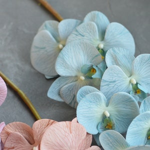 Orquídeas falsas, orquídeas Phalaenopsis artificiales en champán, rosa polvoriento, azul, orquídeas de colores de otoño imagen 4