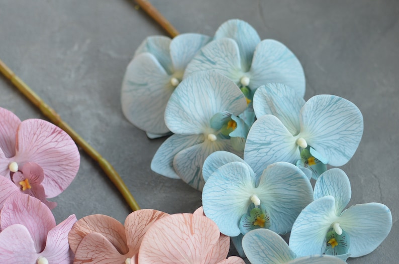 Orquídeas falsas, orquídeas Phalaenopsis artificiales en champán, rosa polvoriento, azul, orquídeas de colores de otoño imagen 4