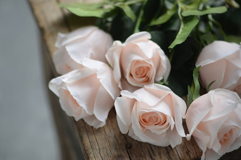 Roses artificielles semi-ouvertes à rougir / rose pâle Real Touch, fleurs DIY Décoration de mariage/maison/cuisine Cadeaux, bouquets de bricolage / centre de table image 7
