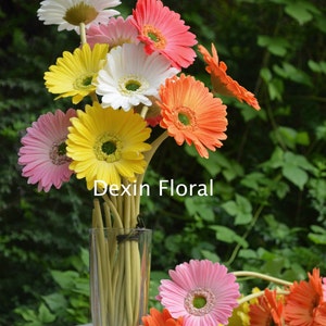 Natural Real Touch Seta artificiale Gerbera Daisy White / Turquoise Blue Single Stem DIY Wedding Bouquet da sposa, centrotavola