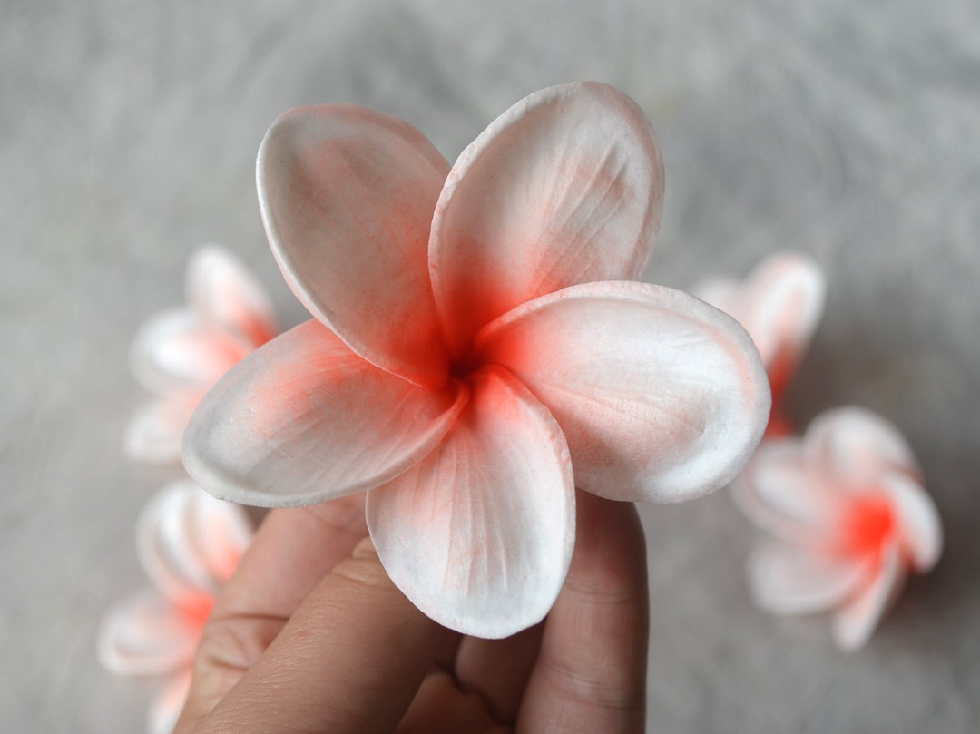 Coral Center Plumerias Natural Real Touch Flowers Frangipani Heads DIY