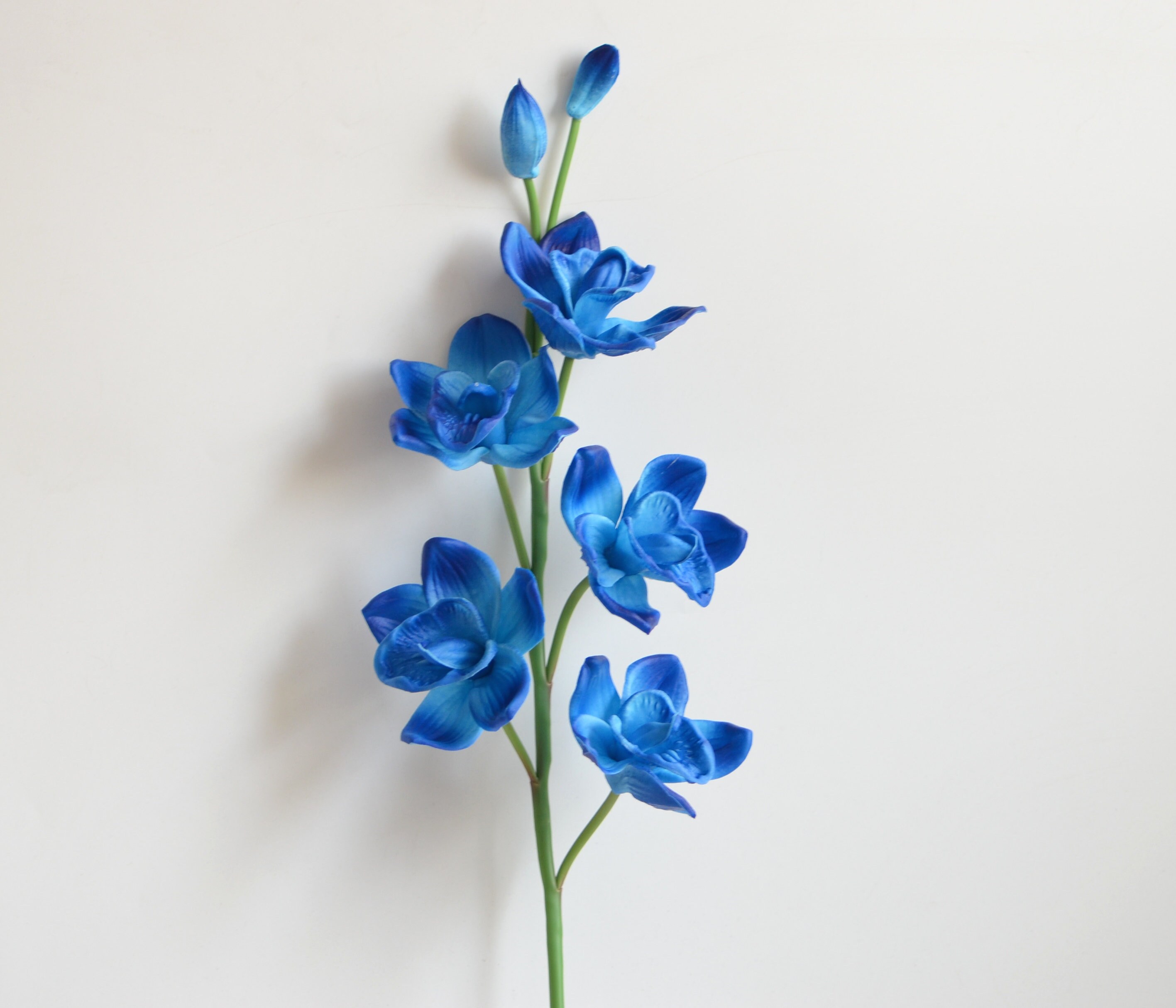 Turquoise Royal Blue Cymbidium Orchids Real Touch Flowers PU Etsy
