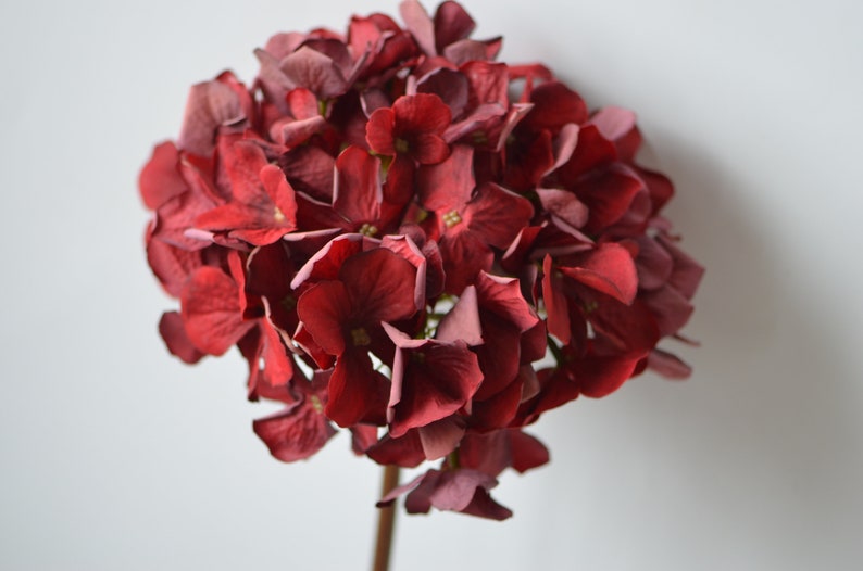 Silk Dried Hydrangeas Artificial Hydrangeas Vintage Etsy Canada