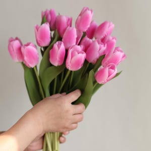 May include: A bouquet of pink tulips with green stems held in a hand.