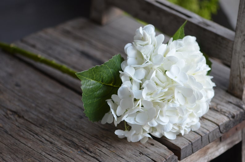 20" Real Touch Blue Hydrangea Stem, High Quality Artificial Flower | DIY Florals Supply | Wedding/Home/Kitchen Decoration | Gifts white--daxiuqiu