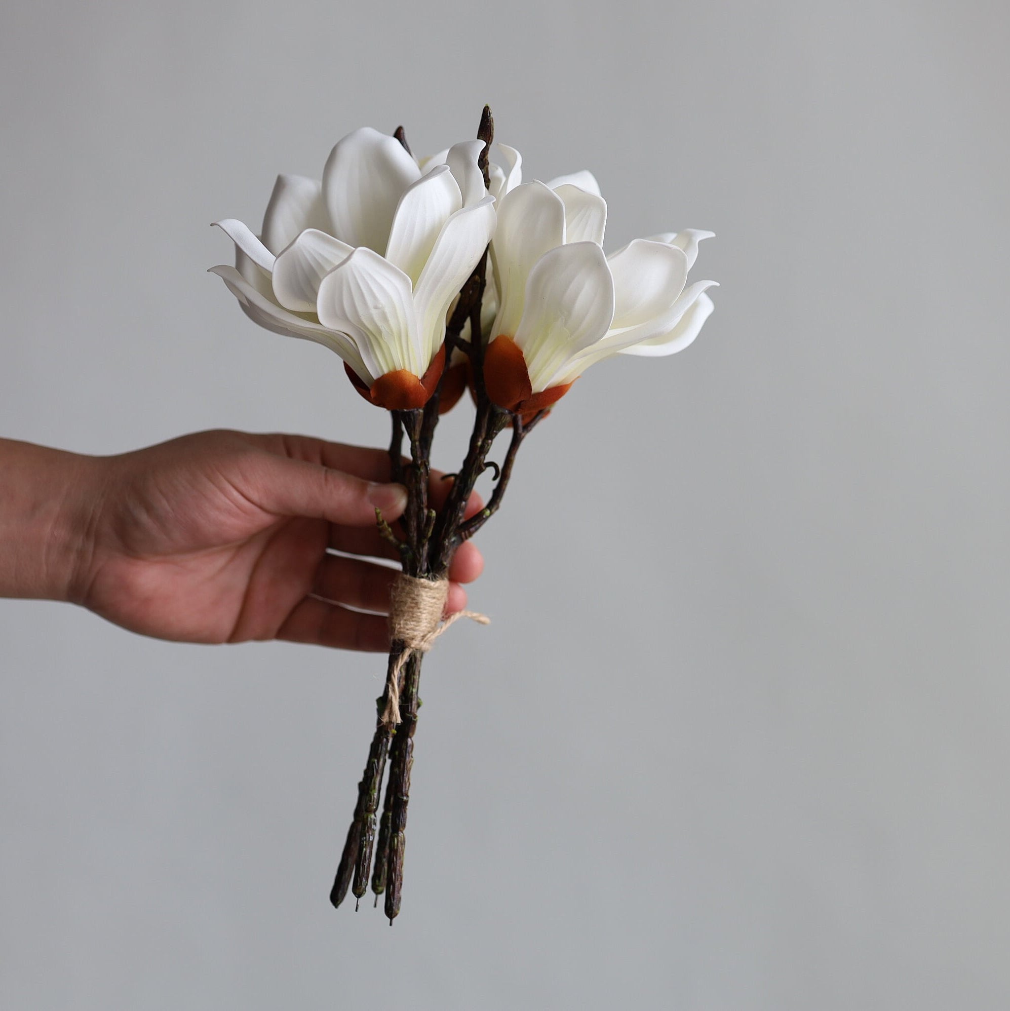 EDG Ramo Magnolia Dorata H61 cm