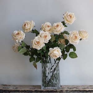May include: A bouquet of cream-colored roses arranged in a clear glass vase with a textured surface. The roses are in various stages of bloom, with some fully open and others still in bud.