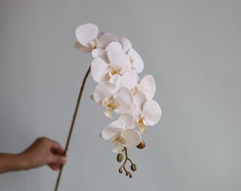 35" Fake Orchids in Champagne, Artificial Phalaenopsis Orchids Stem, DIY Office/Wedding/Home/Holiday/Kitchen Decorations, Mum Gifts for Her