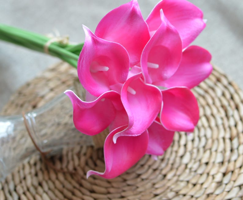Puede incluir: Un ramo de vibrantes calas rosas con bordes blancos. Las flores est&aacute;n agrupadas, con tallos verdes atados con hilo. El arreglo se encuentra sobre un fondo tejido, con una botella de vidrio transparente visible.