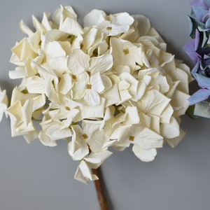 Ortensia dall'aspetto essiccato da 24 ", fiore artificiale di alta qualità, floreale fai-da-te, decorazione di matrimoni / occasioni / casa, regali, bianco, viola blu