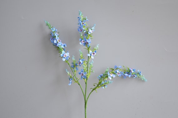 Hierbabuena azul Flores silvestres azules sintéticas Menta - Etsy México Hierbabuena azul Flores silvestres azules sintéticas Menta - Etsy México
