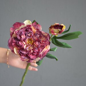 May include: A single stem of artificial peonies with two blooms. The larger bloom is a deep burgundy color with hints of cream and yellow. The smaller bloom is a lighter burgundy color with a yellow center. The stem is green and has leaves.