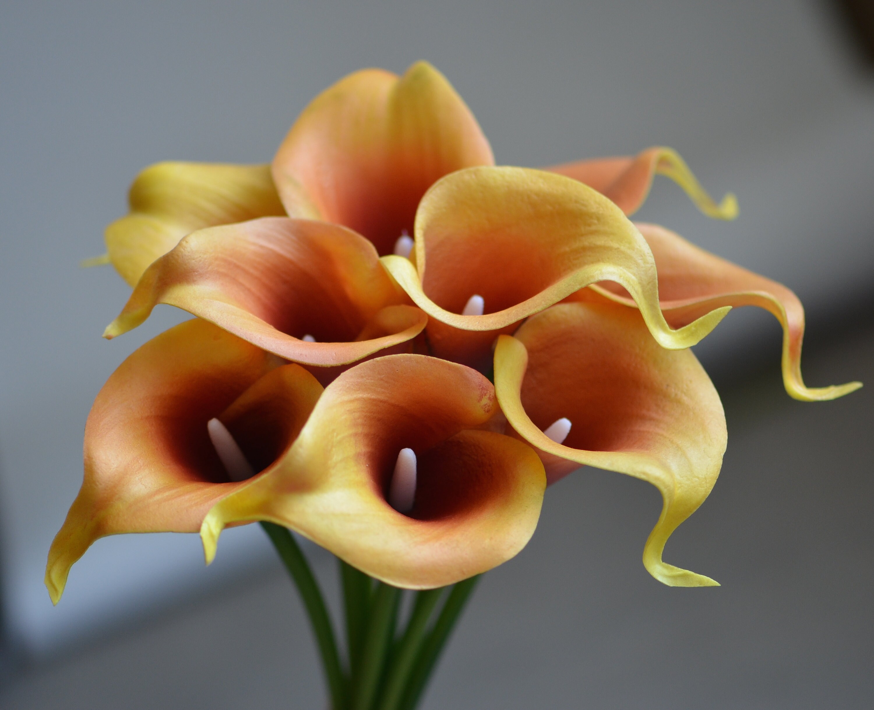 Autumn Burnt Orange Calla Lilies Rust Orange Real Touch Calla Etsy