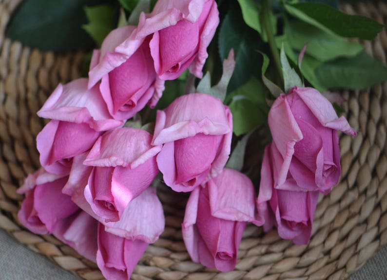 May include: A bouquet of pink roses with a light pink hue, arranged in a woven basket.