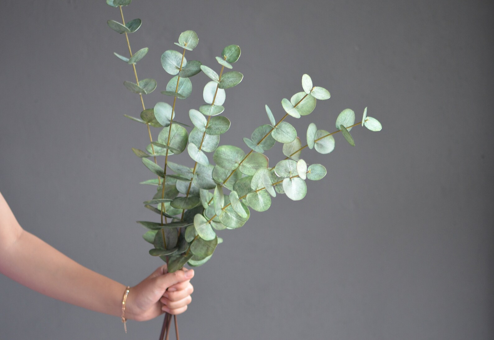 Real Touch Eucalyptus Sage Green Eucalyptus Vintage Etsy